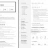 Job CV Template