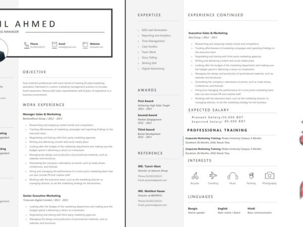 Job CV Template