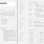 Curriculum Vitae Template