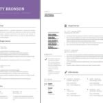 Resume Free Templates Word doc