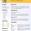 Simple resume format Word