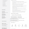 Job CV Template