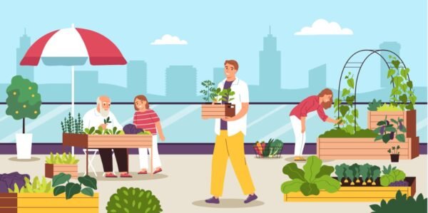 A Complete Guide to Rooftop Gardening in High-Rise Buildings